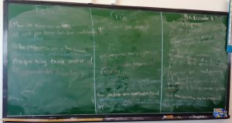 El curriculum y Freinet