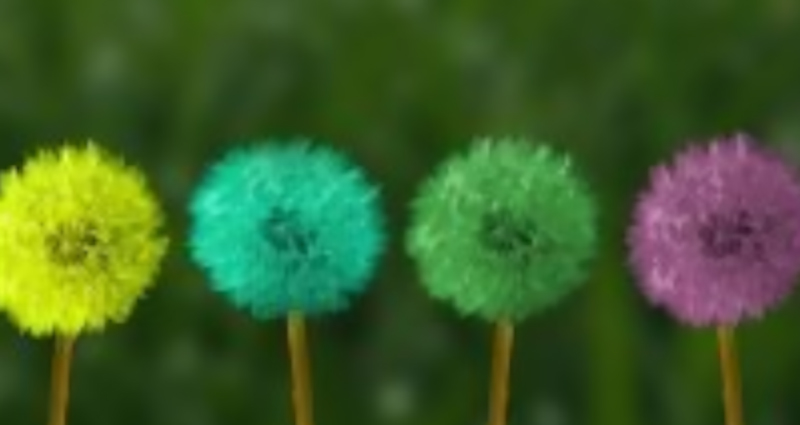 Bulanicos de colores