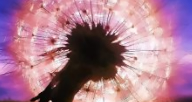 Bulanico a contraluz