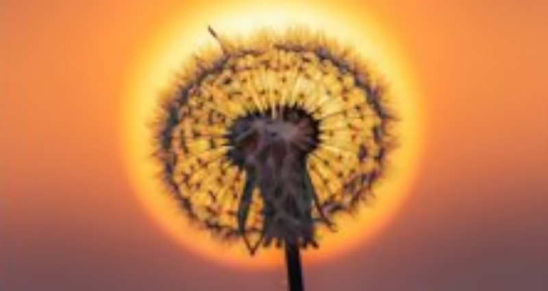 Bulanico-puesta de sol