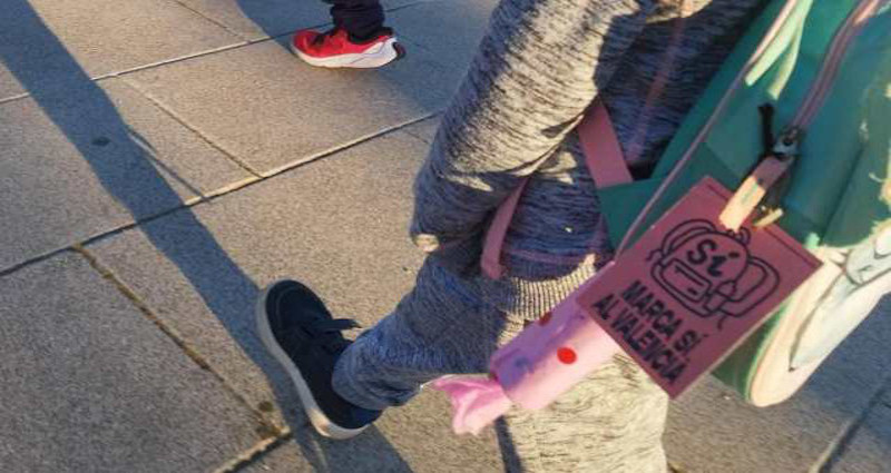 Imagen destacada para la entrada Estimada lluitada