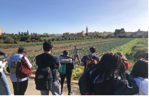 Experiencia huerto escolar en Valencia