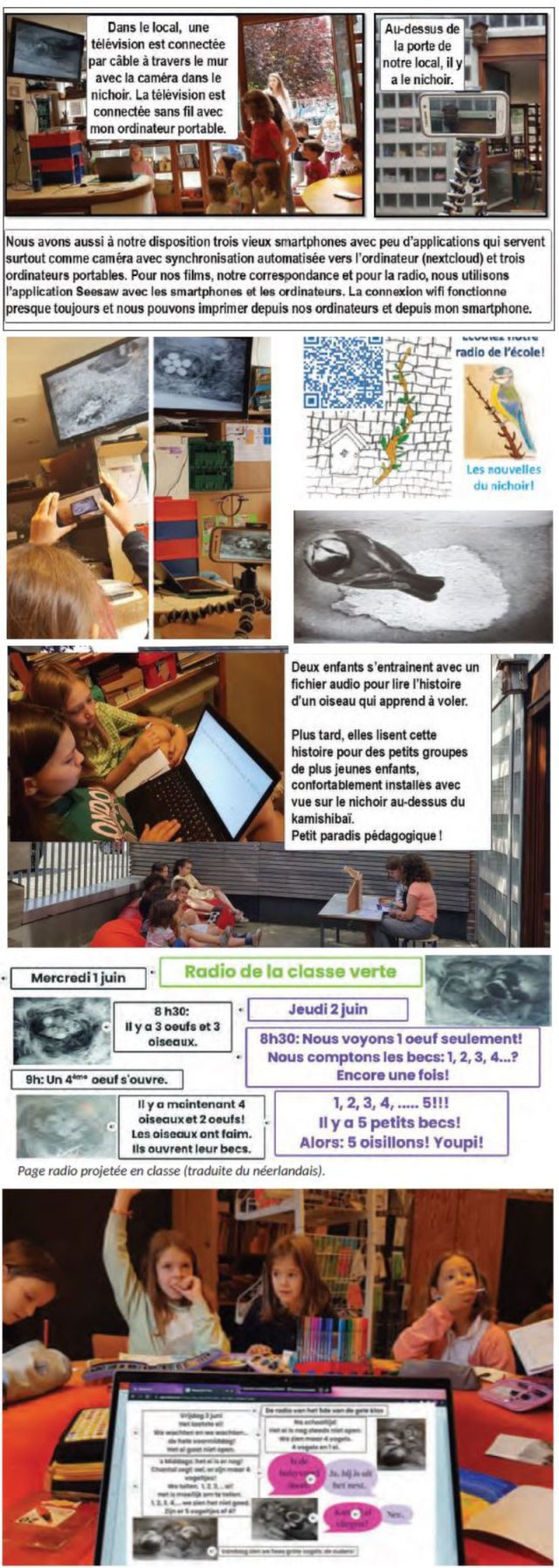 Experiencia Caja Nido de Katrien Nijs (Bruselas)